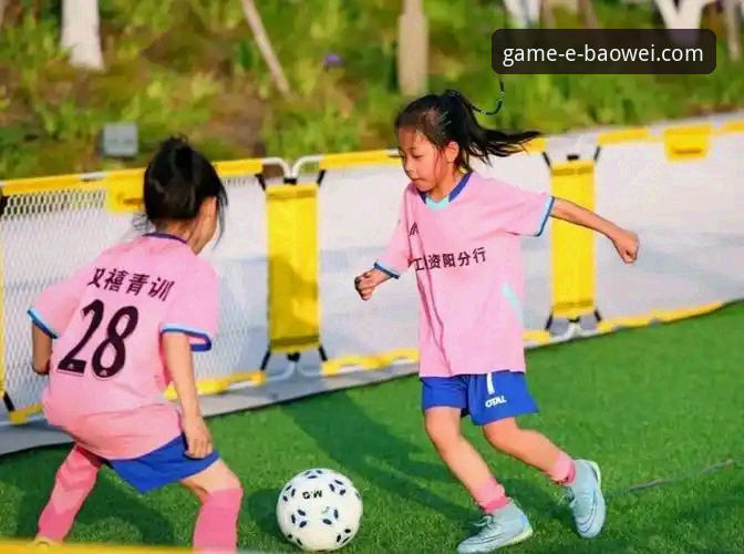 宝威体育平台安全性与使用体验全面解析：一份前瞻性指南